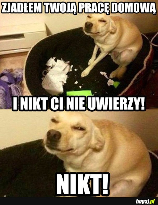 NIKT!
