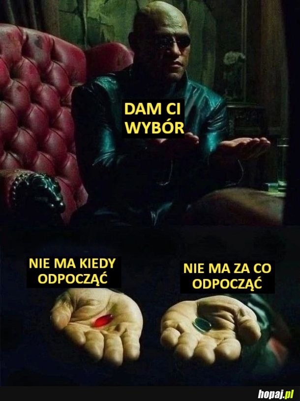 Wybór
