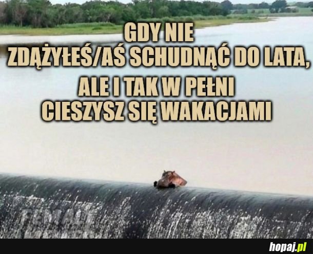 Nareszcie wakacje