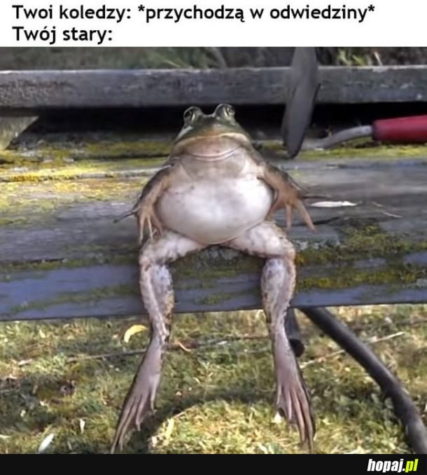  Za każdym razem
