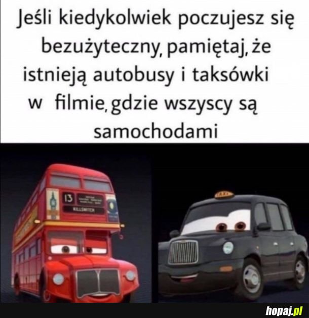 Bezużyteczny