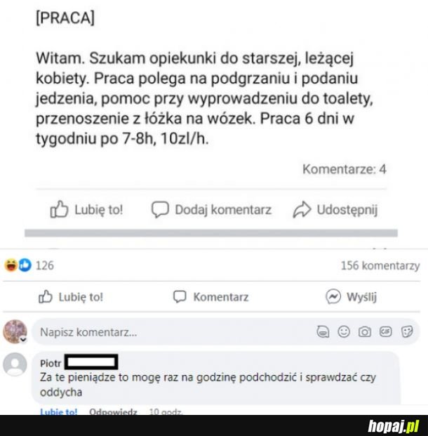 Oferta pracy