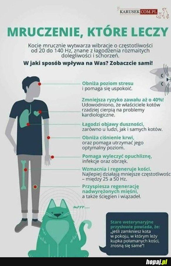 UZDRAWIAJĄCE ZDOLNOŚCI