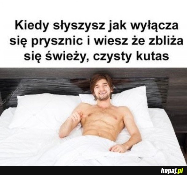 ZBLIŻA SIĘ SZCZĘSCIE