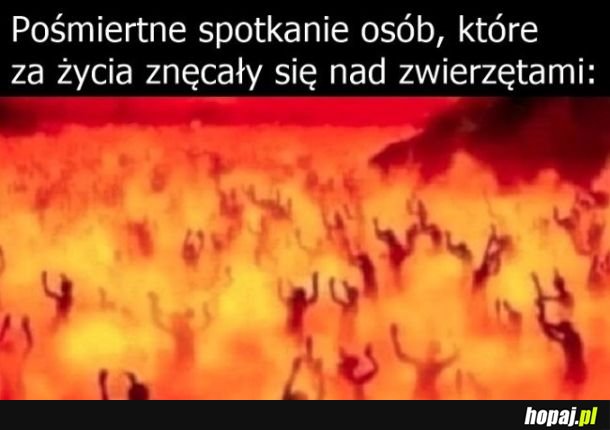 Odpowiedzialność