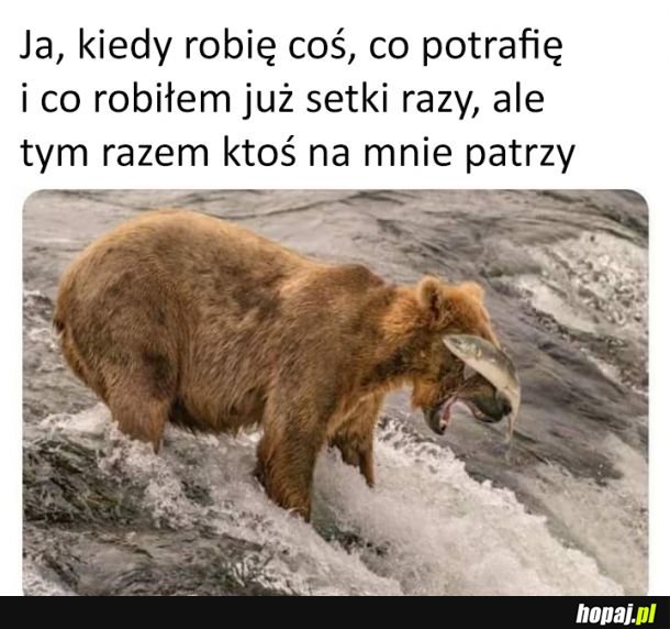 Zawsze, gdy ktoś patrzy