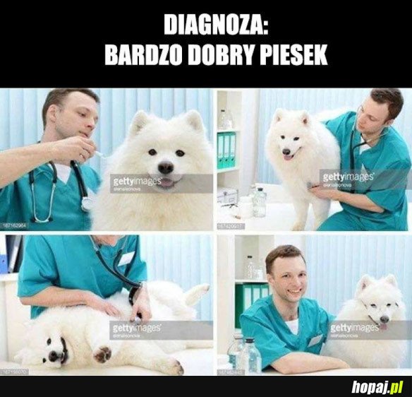 TRAFNA DIAGNOZA