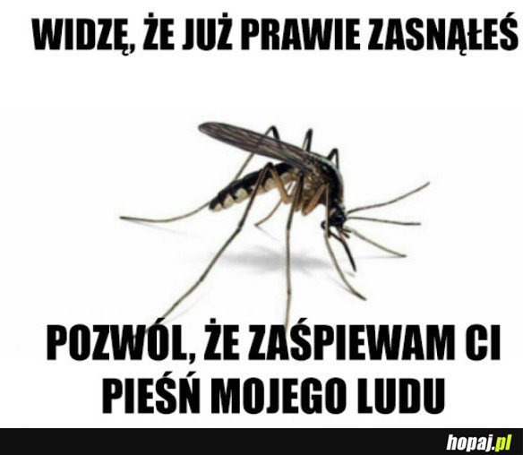 Śpij słodko