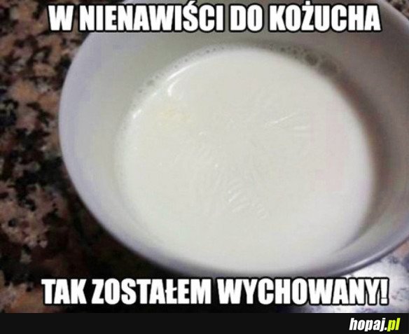 Kożuch