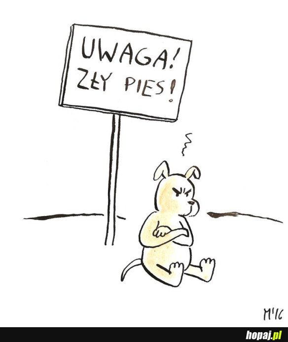 Zły pies