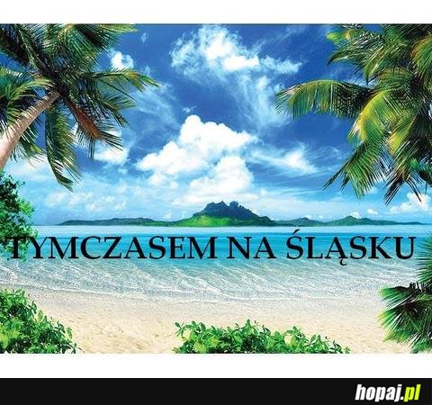 Tymczasem na Śląsku - buhaha