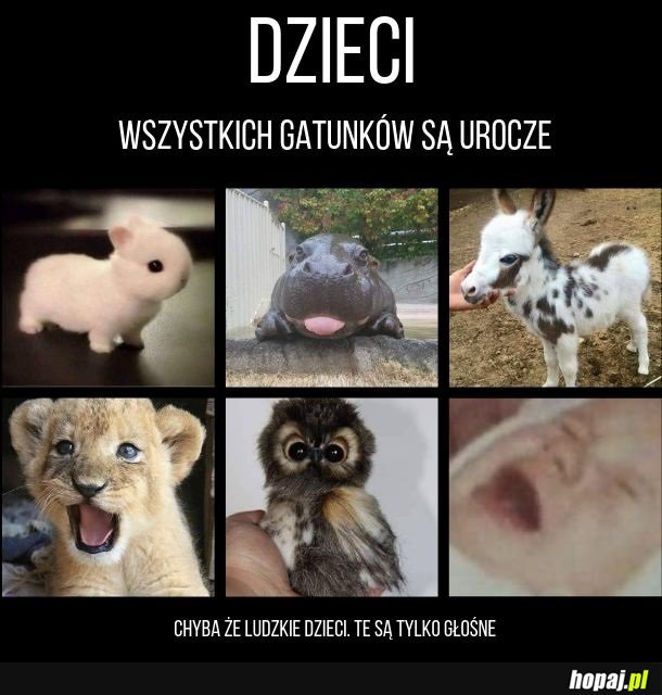 Dzieci takie są