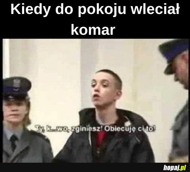 Grożby wobec komara