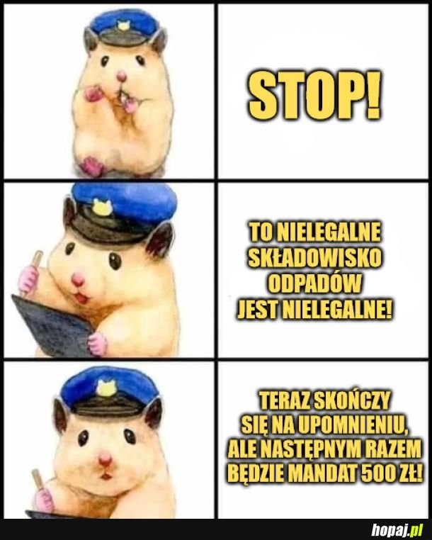 To nielegalne składowisko jest nielegalne! 