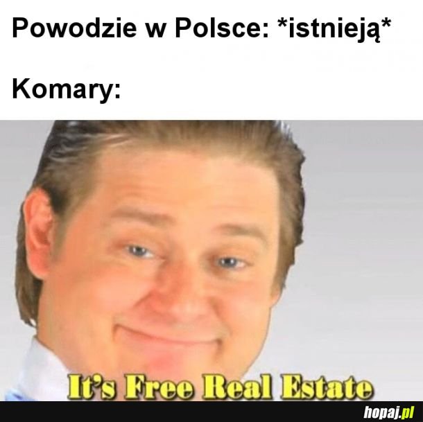 Komary 