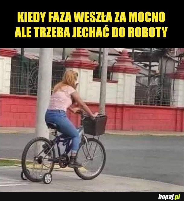 Jedziemy