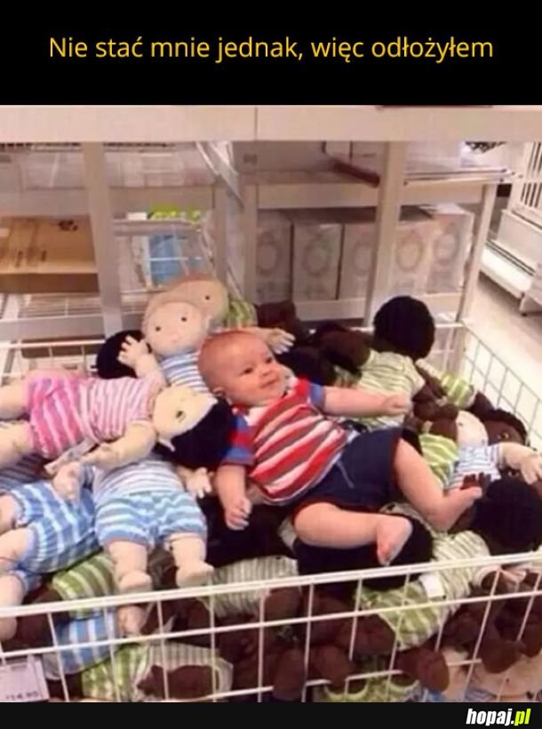 Przeliczyłem budżet