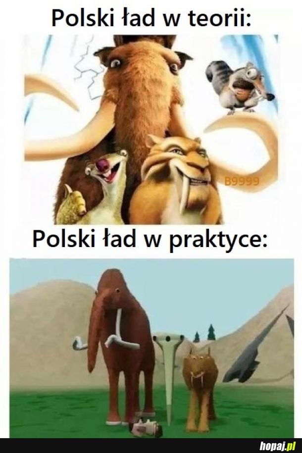 Żyję w kraju