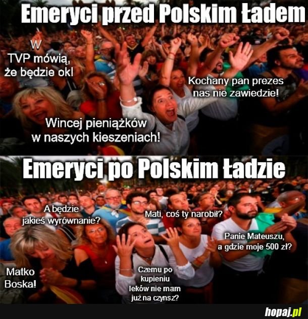 I tak będą na nich głosować