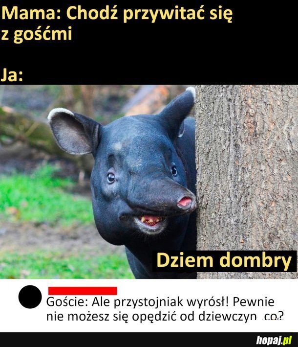 Przystojniak