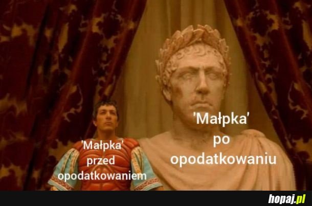 Opodatkowanie mapłki