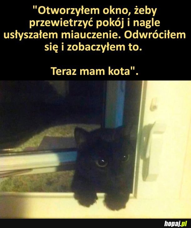 Nowy lokator