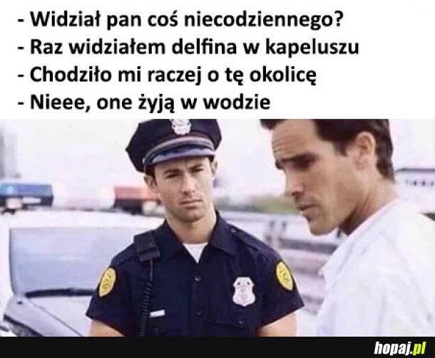 Coś dziwnego