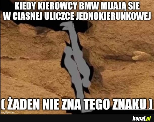 Kierowcy BMW