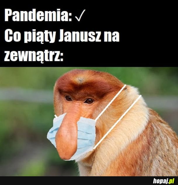 Instrukcje były niejasne