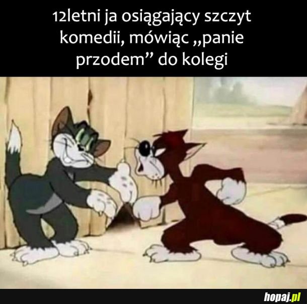 Szczyt komedii