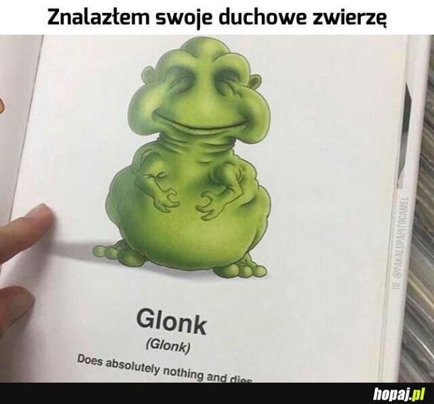 Jakie jest Twoje?