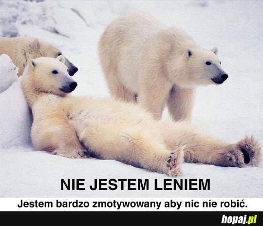 Nie jestem leniem