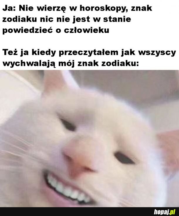 Znak zodiaku