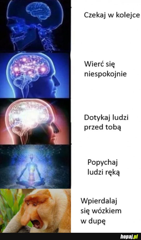 TYPOWY JANUSZ