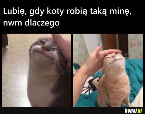 ¯_₍⸍⸌̣ʷ̣̫⸍̣⸌₎_/¯