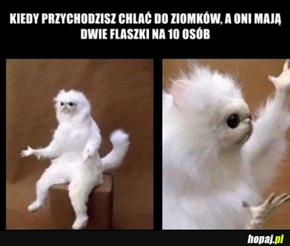 Niepoważne