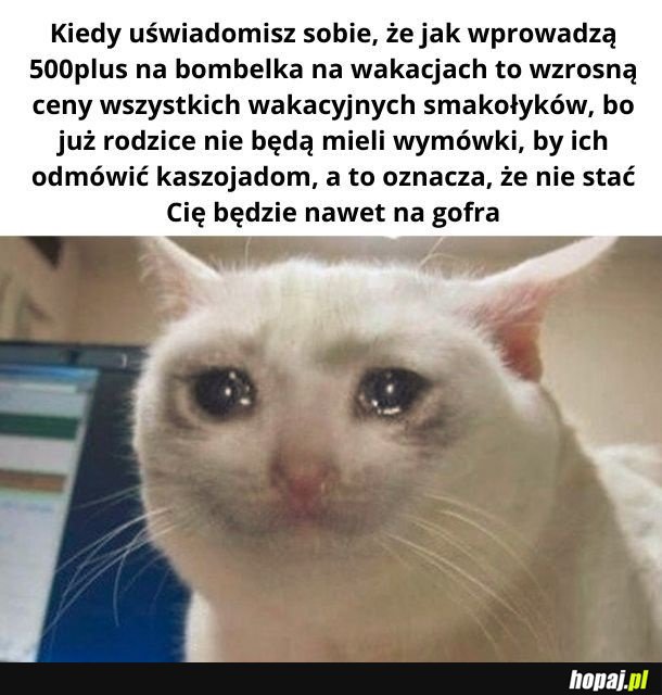 To będę zrypane wakacje