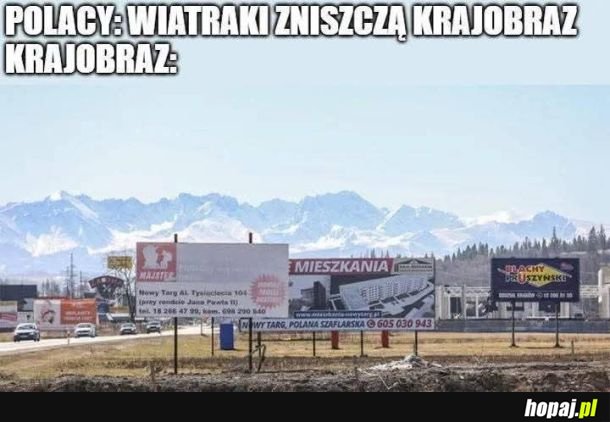 Królestwo billboardów i reklam