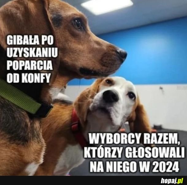 Gibała