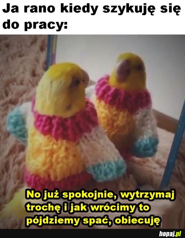 Przed wyjściem do pracy