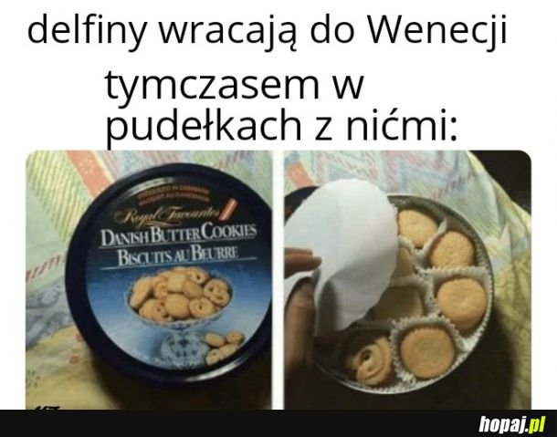 Wszystko wraca na miejsce