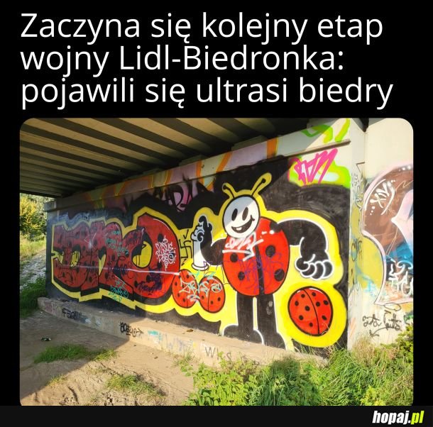 Kiedy ustawka? 