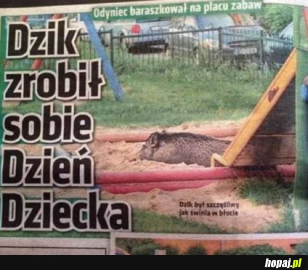 Chwile radości