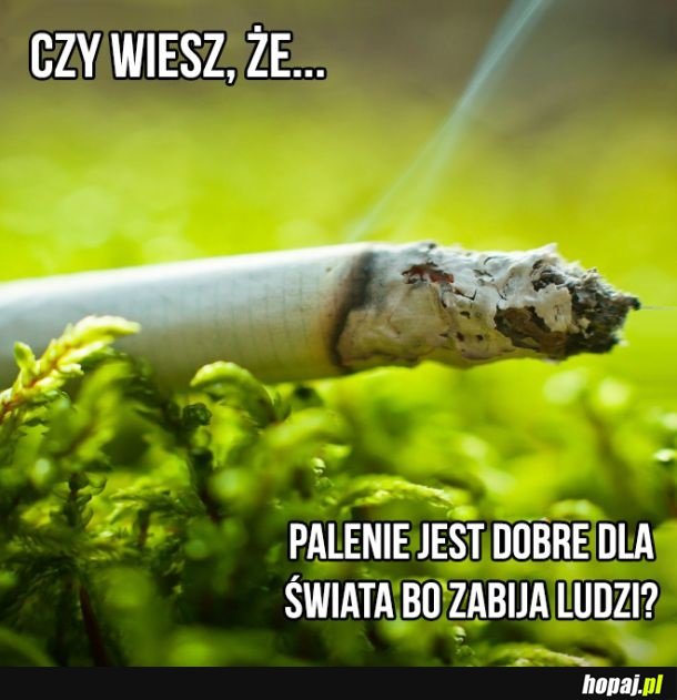 Czy wiesz, że