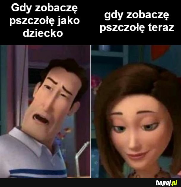 Eraz wiem że osy i szerszenie są te złe