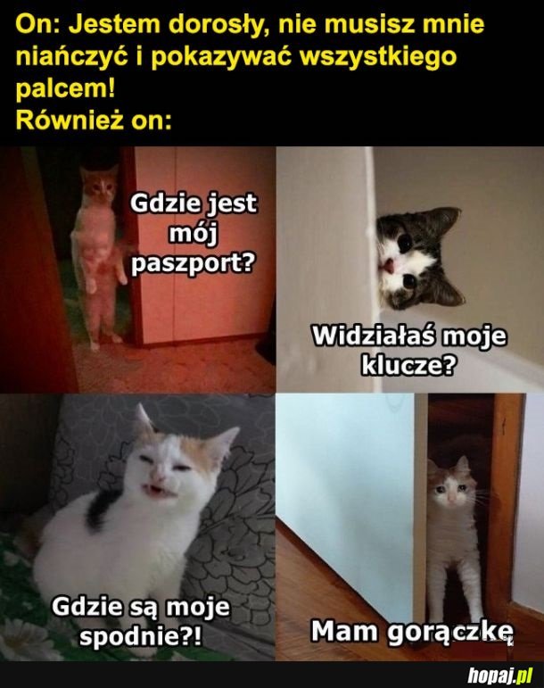 Z facetami tak jest