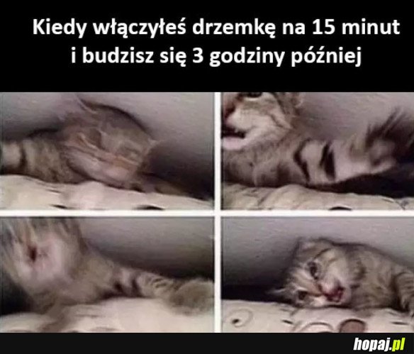 PRZYPAŁ