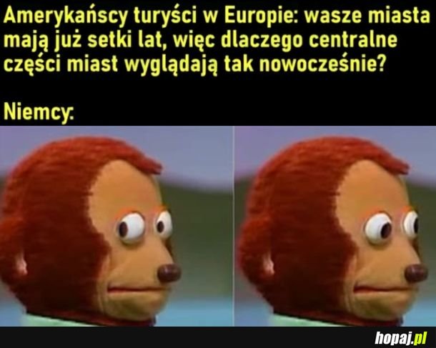 Nie interesuj się bo kociej mordy dostaniesz