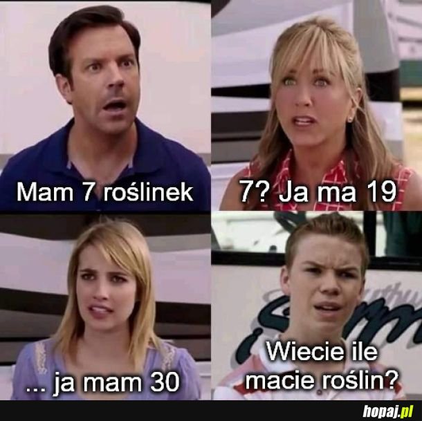 Roślinki