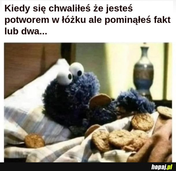 Cookie Monster